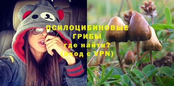 мяу мяу мука Корсаков