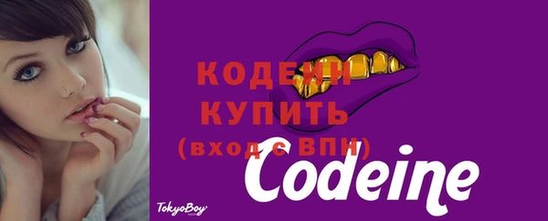 мет Коряжма