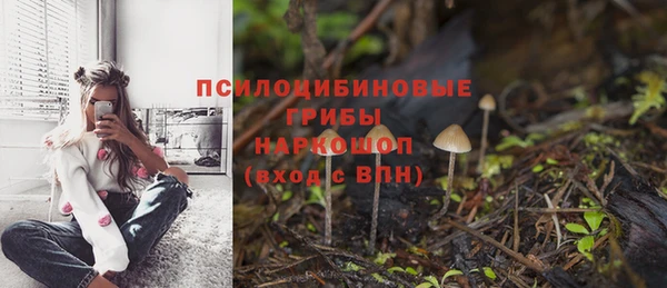 мяу мяу мука Корсаков