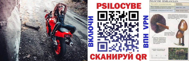 Псилоцибиновые грибы мицелий  Купить где  Кизляр 